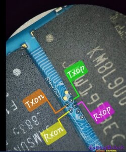 1758415404282.jpg